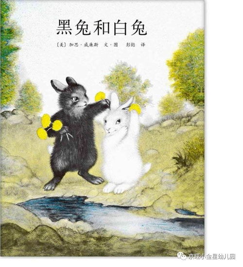 妙語展風采，故事動心弦——娜娜老師為您講述《黑兔和白兔》